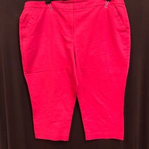 Lane Bryant Capri Pant 26. Fushia